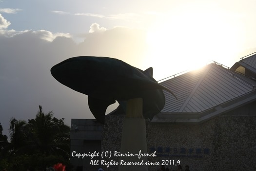 家族でokinawaへ・・・（3）　古宇利島～美ら海水族館へ。_e0237680_15231557.jpg