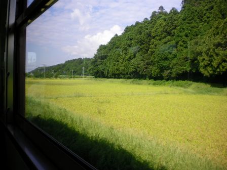 b0005281_21355460.jpg
