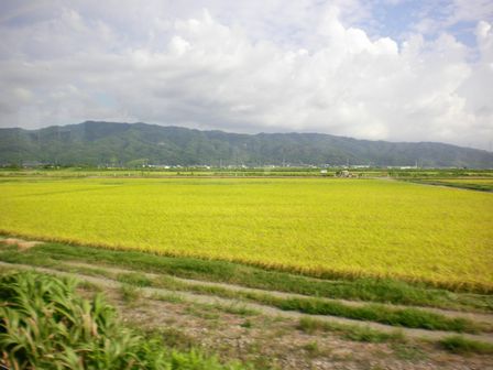 b0005281_2138340.jpg