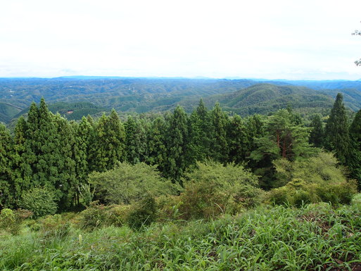 岡山県備中高梁。_d0182985_85782.jpg