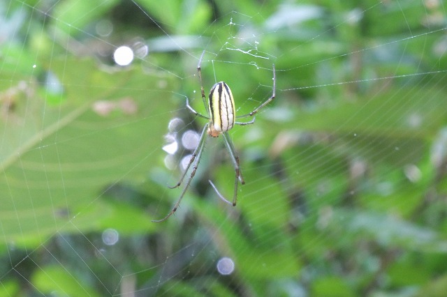 e0070891_18514150.jpg