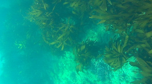 a0213992_232624.png