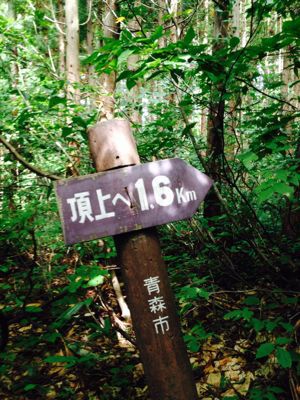 パーティー_a0134394_6413963.jpg