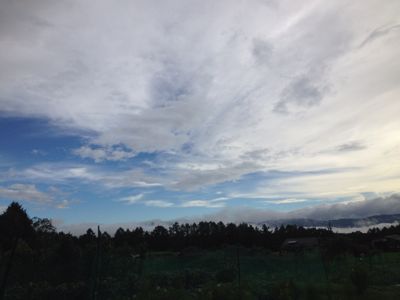 f0017897_13113551.jpg