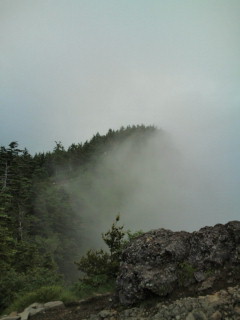 e0028904_8542065.jpg