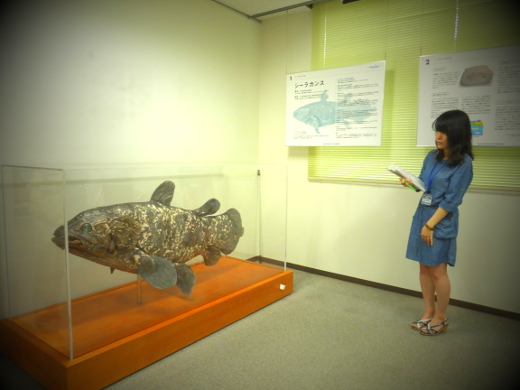 シーラカンス ＠東工大すずかけ台キャンパス : 雲のゆくえ（chanka's