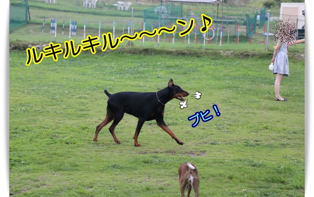 e0100007_21491945.jpg