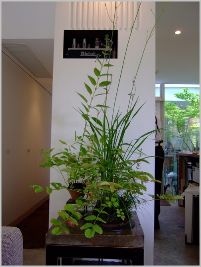 c0301808_717488.jpg
