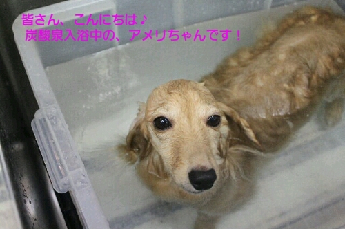 たくさん_b0130018_1956334.jpg