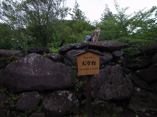 b0225620_16342892.jpg