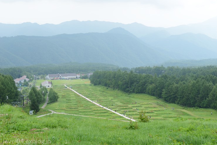 d0319222_10264143.jpg