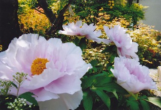 命_a0131046_17422380.jpg
