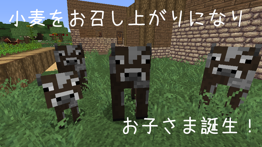 マイクラ日誌vol 1 まにふぇすと 牛さんの声につられて Yu Blog