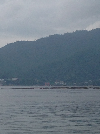 b0299869_20383144.jpg