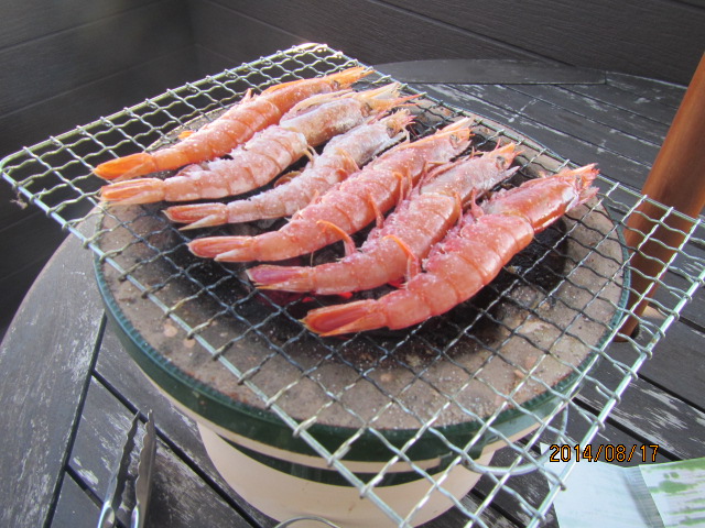 2014年8月17日　海水浴　おうちBBQ_f0350477_09190825.jpg