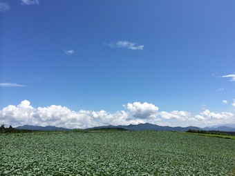 草津2日目 軽井沢アウトレットへ_a0191183_2142235.jpg