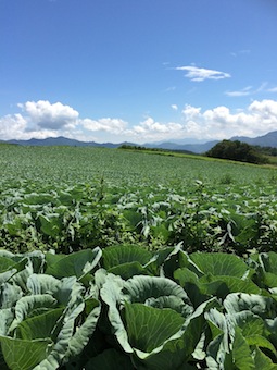 草津2日目 軽井沢アウトレットへ_a0191183_2142943.jpg