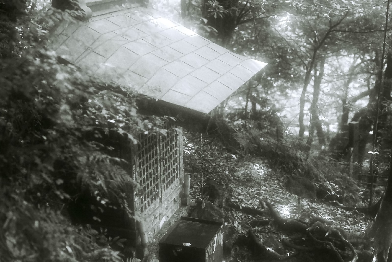 e0126386_21214564.jpg