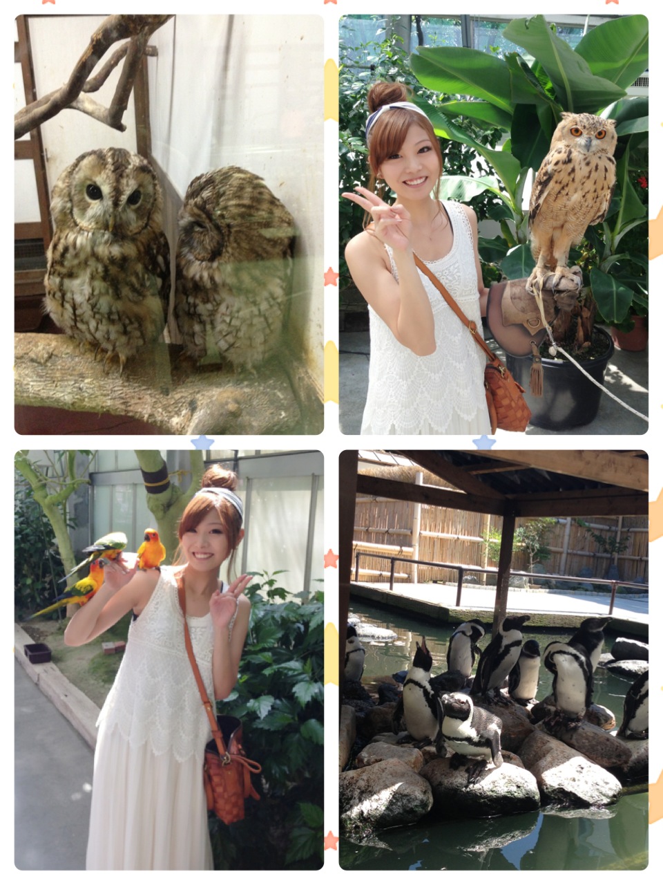 鳥まみれ🐤_d0178587_14211637.jpg