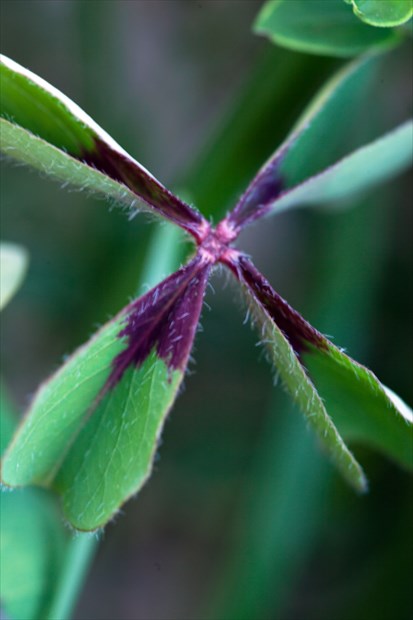 e0305388_71618.jpg