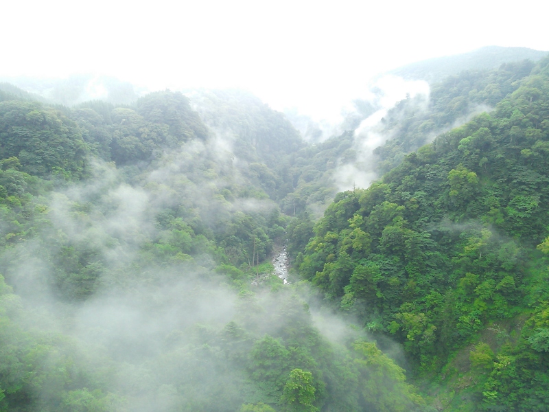 大分旅行 その① ~高所恐怖症~_e0326688_12284100.jpg