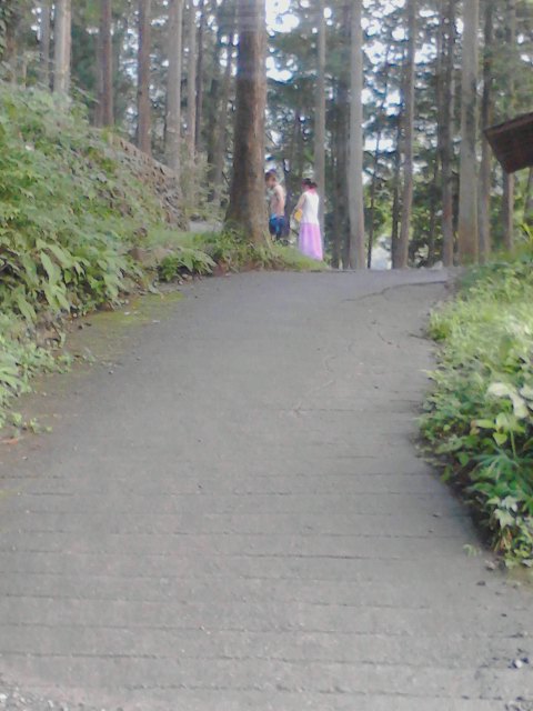 b0042190_924480.jpg