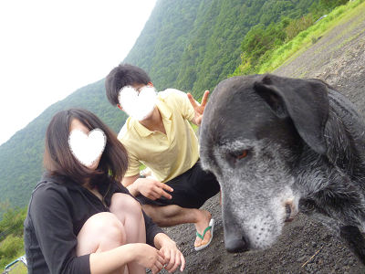 d0282395_19415167.png