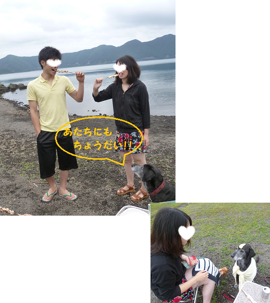 d0282395_208239.png