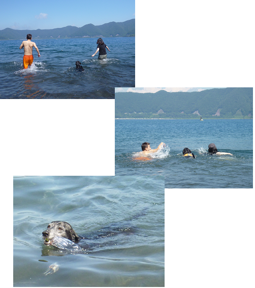 d0282395_2082630.png
