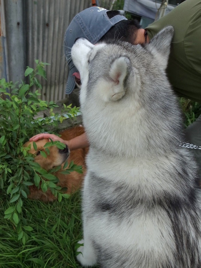 サクラちゃん、カメちゃん、源ちゃん_c0049299_22212253.jpg
