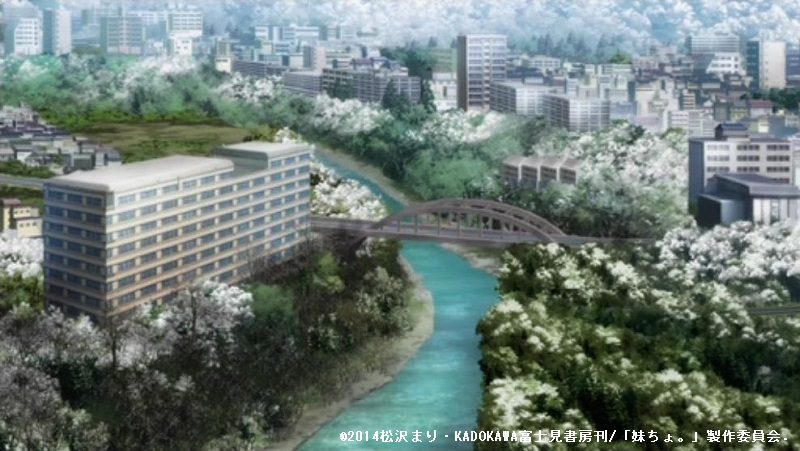 「最近、妹のようすがちょっとおかしいんだが。」舞台探訪002飯能駅(第12話)_e0304702_19350545.jpg