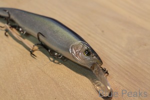 カナダからの手紙(その3)_a0183304_1184970.jpg