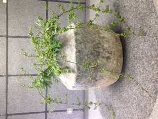 秋へ_c0114811_1440404.jpg
