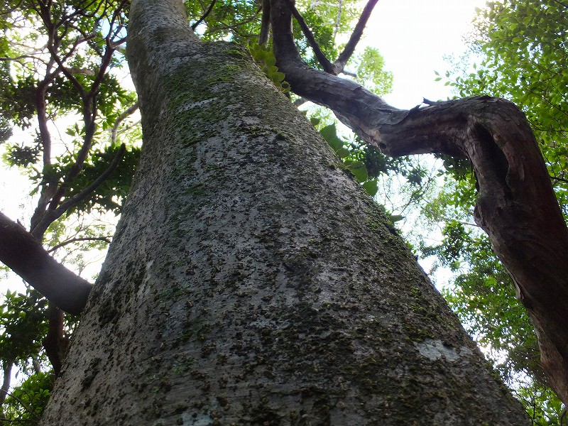 f0182513_22321244.jpg