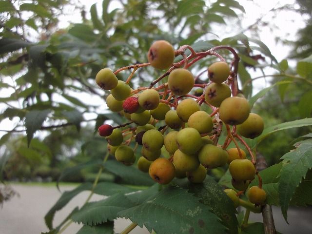 f0328313_12063365.jpg
