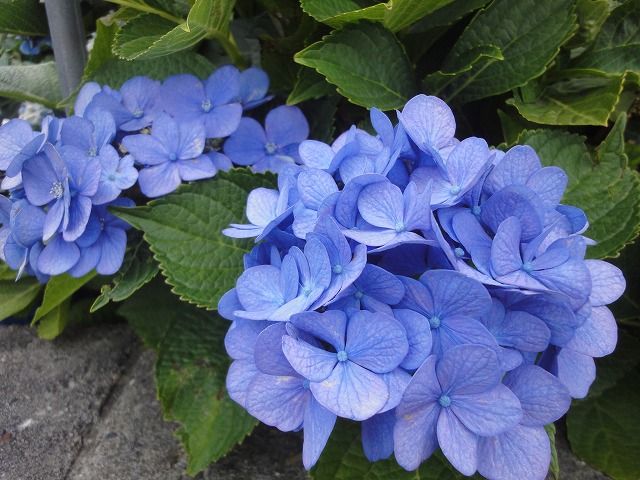f0328313_12064330.jpg