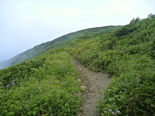 f0225414_22284510.jpg