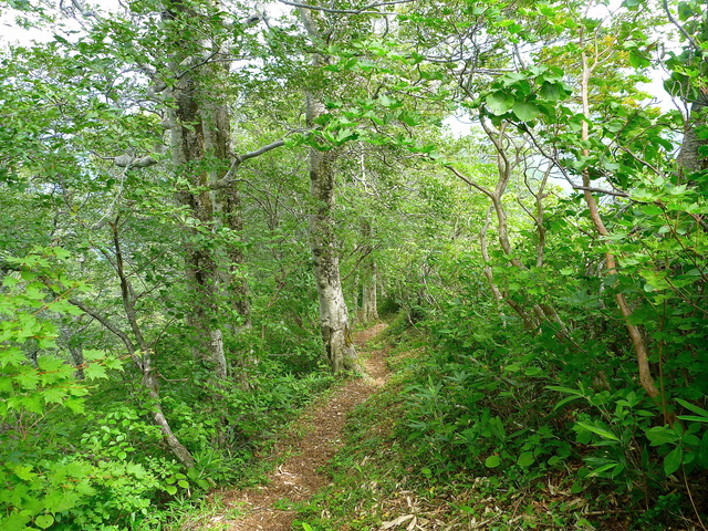 f0225414_22464289.jpg