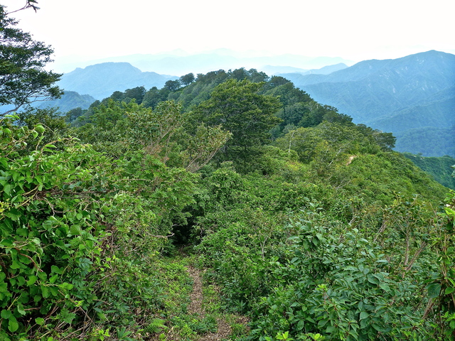 f0225414_22485959.jpg