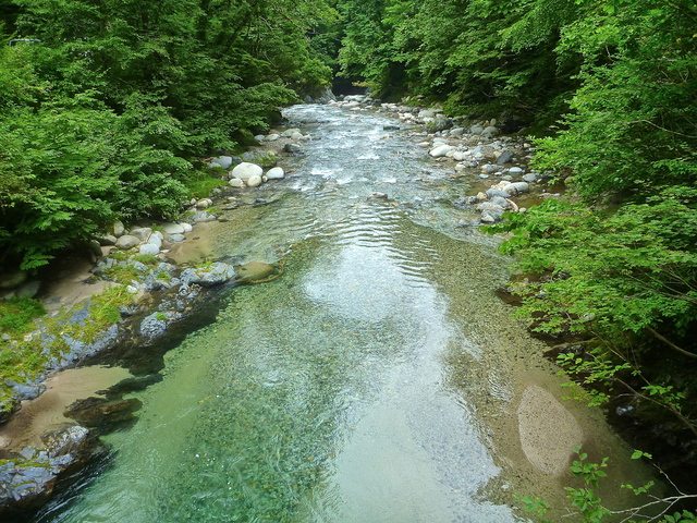 f0225414_2255294.jpg