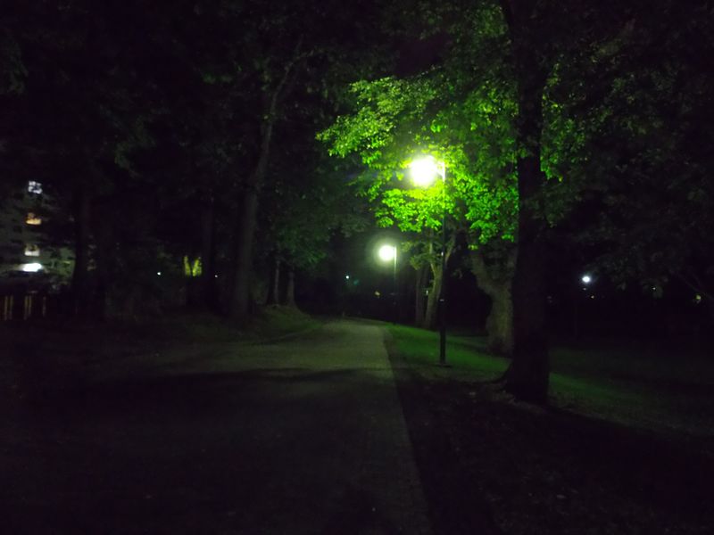 夜の帰り道:北大構内_c0025115_2253091.jpg