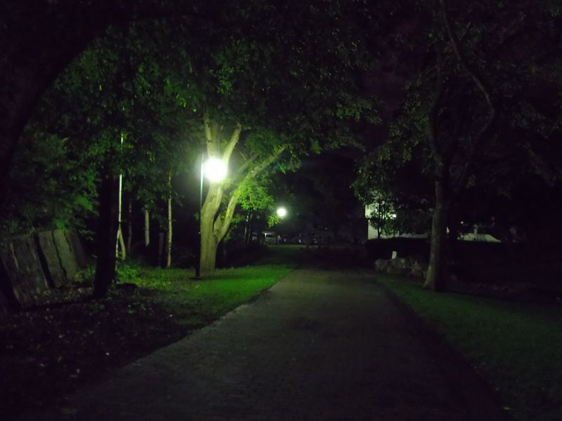 夜の帰り道:北大構内_c0025115_225325.jpg