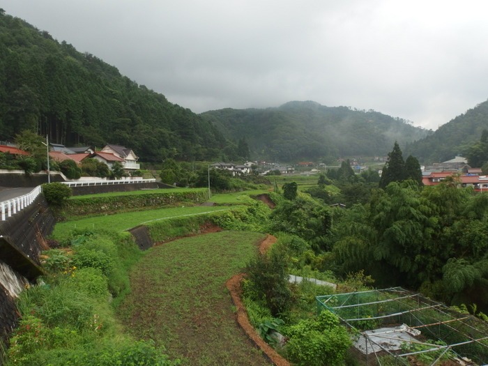 朝は小雨_c0116915_23554520.jpg