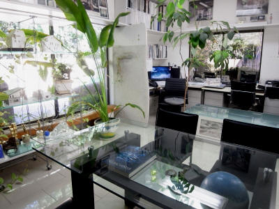 猛暑も和らぐ?植物を楽しむスクリーンの景色_e0010418_17481382.jpg