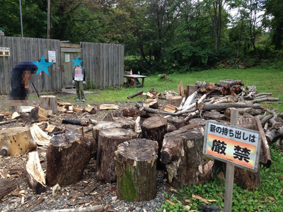 b0121019_20052345.png