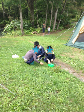 b0121019_20065915.png
