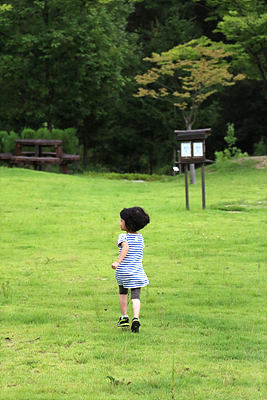 夏旅行①ヨジュ　驪州　ファンハクサン樹木園_c0153134_11552258.jpg