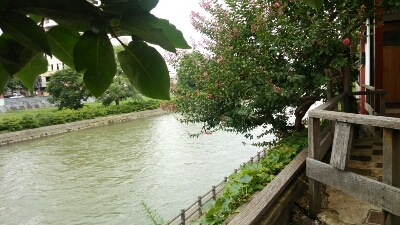 c0267235_21205.jpg