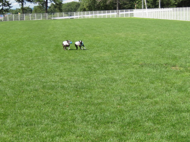 c0265837_20503334.jpg