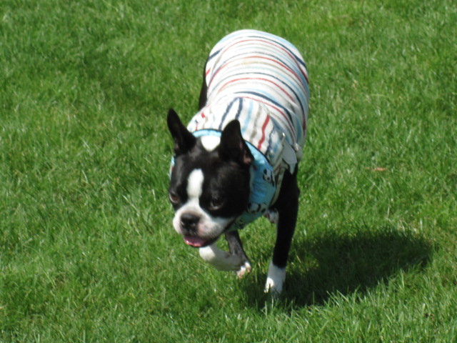 c0265837_2052231.jpg